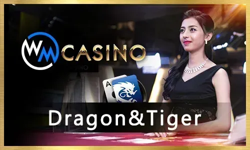 Card Sets Icon